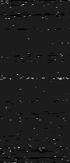 MTVZA-23.png